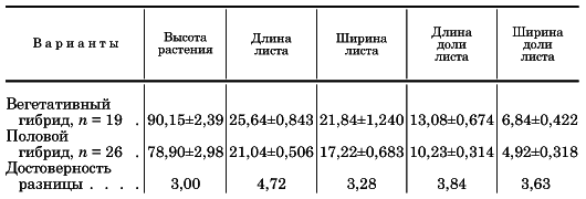 Вегетативная гибридизация растений i_119.png