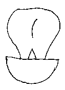 Детский эротический фольклор gribDEF1.png