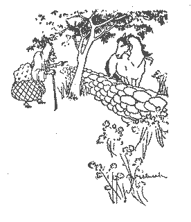 Donegal Fairy Tales cGcyMzktMC5wbmc