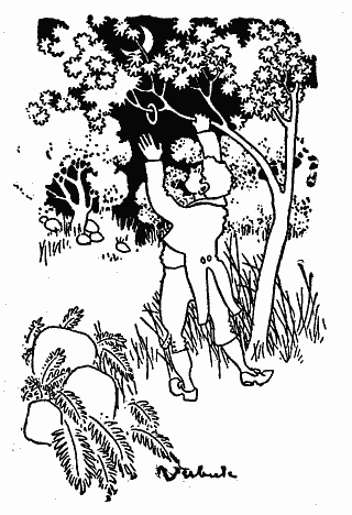Donegal Fairy Tales cGcwMTktMC5wbmc