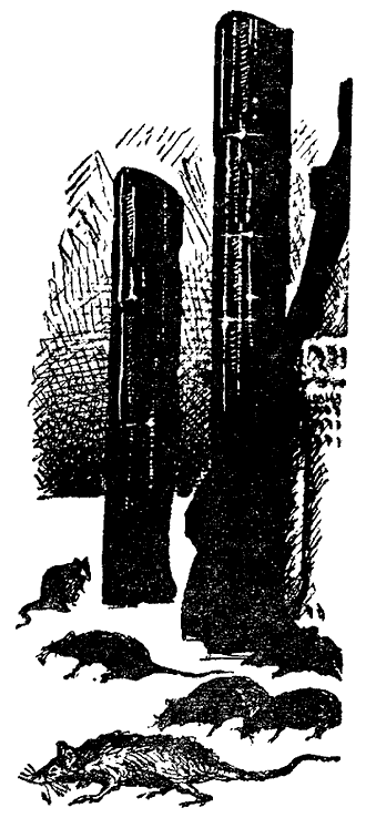 Искатель. 1969. Выпуск №4 i_012.png