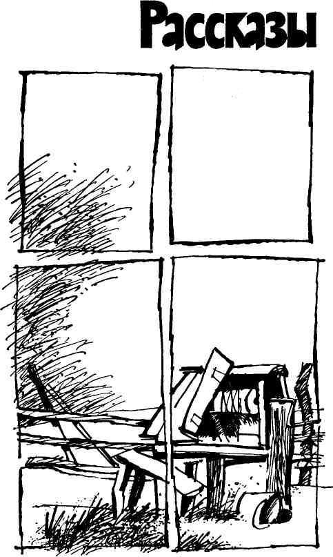 Шутиха-Машутиха img_5.jpeg
