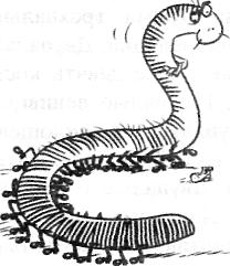 Книга всеобщих заблуждений image033.JPG
