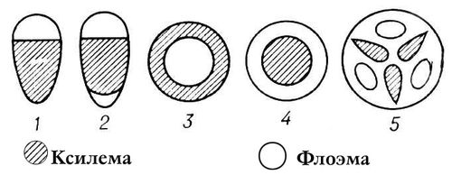 Большая Советская Энциклопедия (ПУ) i010-001-263144227.jpg