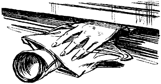 Искатель. 1981. Выпуск №6 i_004.png