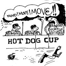 Осторожно HOT DOG! (с иллюстрациями) pic_54.jpg