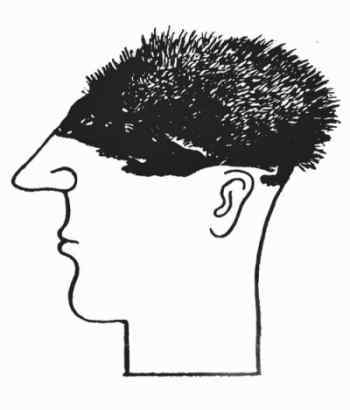 Мух уйма (Художества). Не хлебом единым (Меню-коллаж) bahch_57.jpg