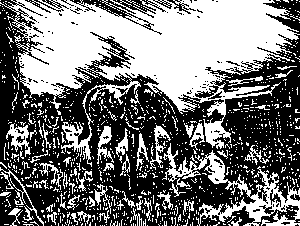 Цыгане. Тайны жизни и традиции any2fbimgloader67.png