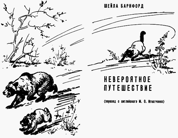 Невероятное путешествие br000_horiz_570x442.png