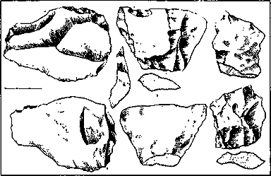 Древнейшие страницы истории человечества i_001.png