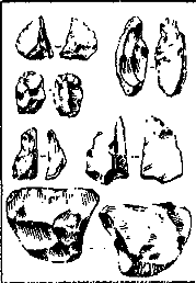 Древнейшие страницы истории человечества i_037.png