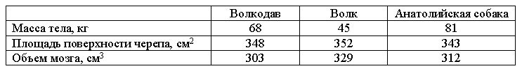 Собаки. Новый взгляд на происхождение, поведение и эволюцию собак i_008.jpg