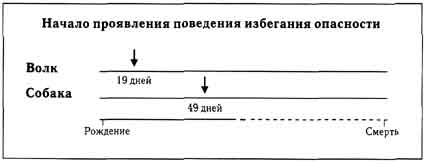 Собаки. Новый взгляд на происхождение, поведение и эволюцию собак i_016.jpg