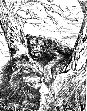Самый, самый, самый, самый... Untitled3.png