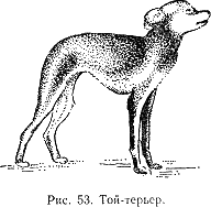 Наши четвероногие друзья i_054.png