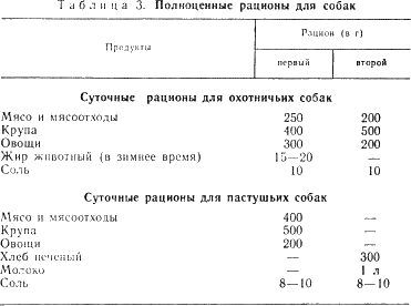 Наши четвероногие друзья i_063.png