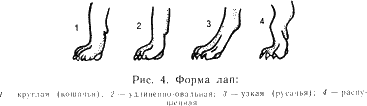 Наши четвероногие друзья i_004.png