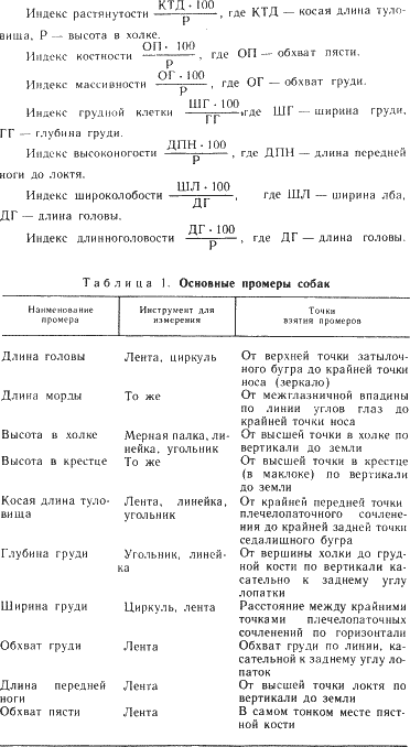 Наши четвероногие друзья i_006.png