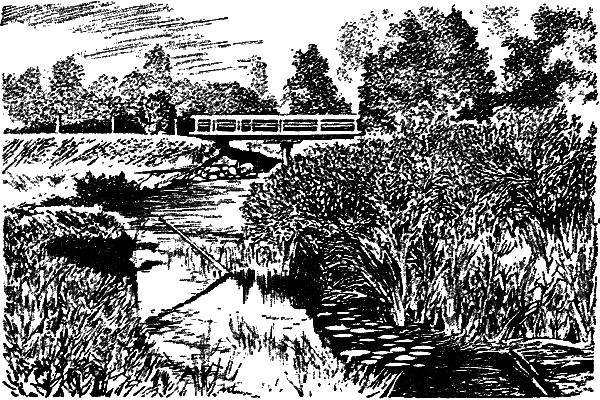Рассказ о великих реках i_027.png