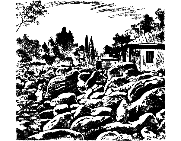 Рассказ о великих реках i_009.png