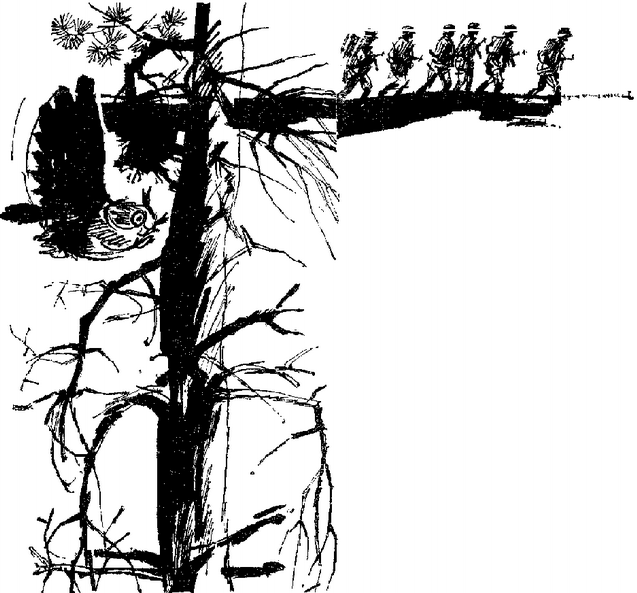 Искатель. 1977. Выпуск №1 i_004.png