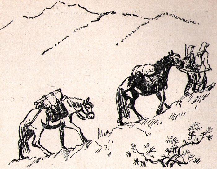 Загадки Байкала (с илл.) i_003.jpg