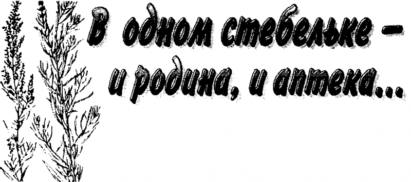 Газета ЗОЖ N13, 2008 pic_5.png
