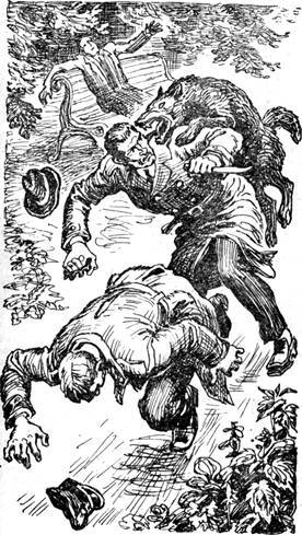 Невидимые связи (часть сборника) (илл.) pic_5.jpg