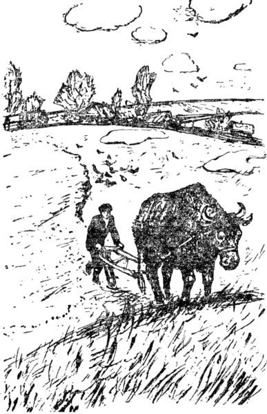 Горюч-камень (сборник) i_013.jpg