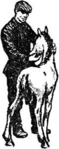 Латуня i_013.jpg
