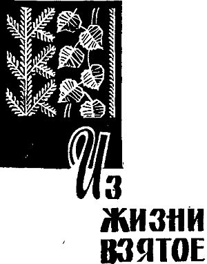 Из жизни взятое i_002.jpg