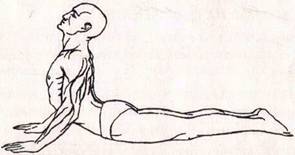 Четырнадцать уроков раджа-йоги doc2fb_image_0200000A.jpg