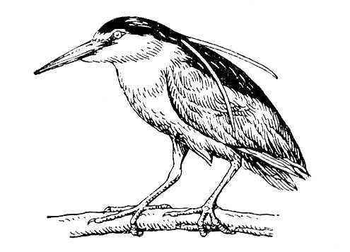 Большая Советская Энциклопедия (КВ) i009-001-230600816.jpg