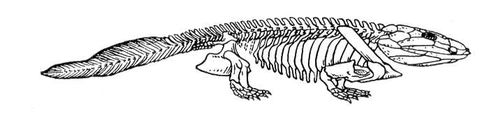 Большая Советская Энциклопедия (ИХ) i009-001-240037867.jpg