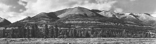 Большая Советская Энциклопедия (ВО) i008-pictures-001-295669948.jpg