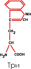 Аксиомы биологии p_06.png