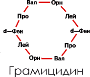 Аксиомы биологии p_09.png