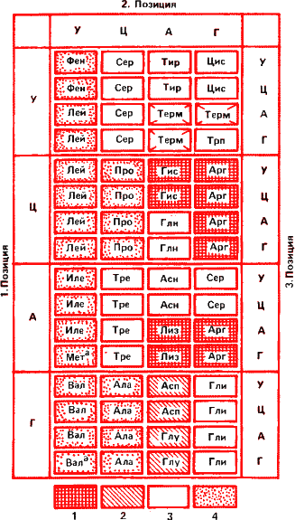 Аксиомы биологии i_23.png