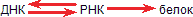 Аксиомы биологии p_12.png