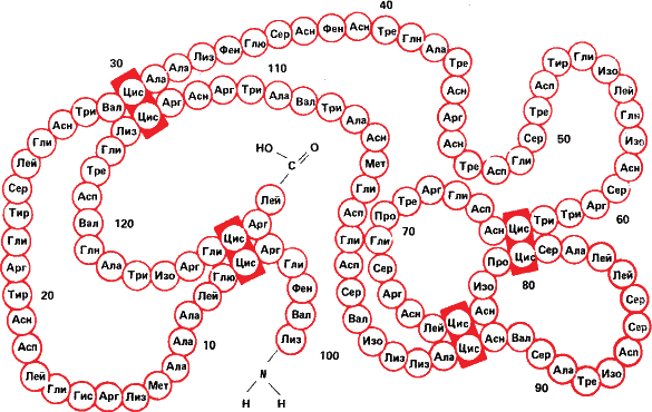Аксиомы биологии i_25.png