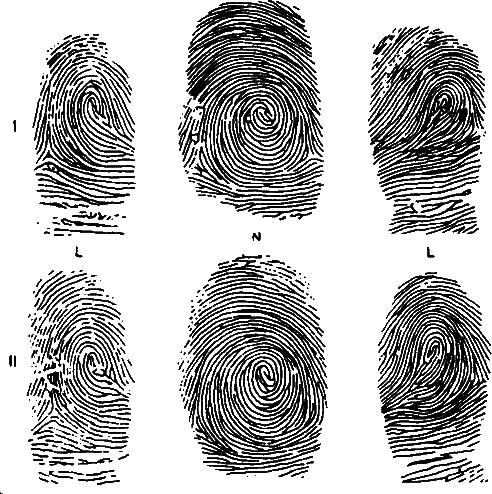 Аксиомы биологии i_29.png