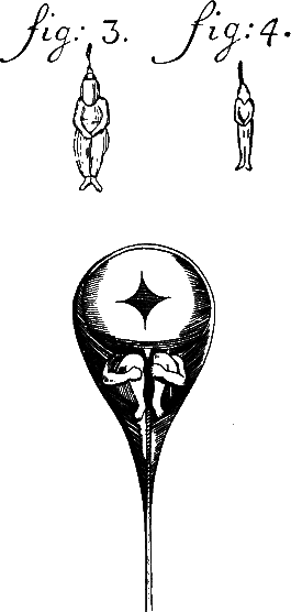 Аксиомы биологии i_06.png