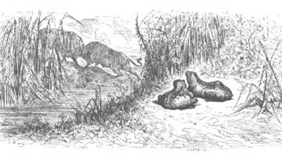 Fables pic_30.jpg