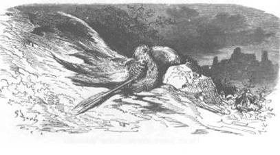 Fables pic_32.jpg