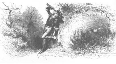 Fables pic_38.jpg