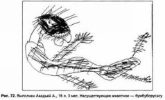 Психологические рисуночные тесты pic72.jpg