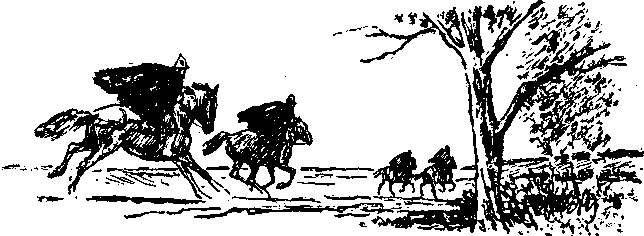 Покорители студеных морей (илл.) i_014.png