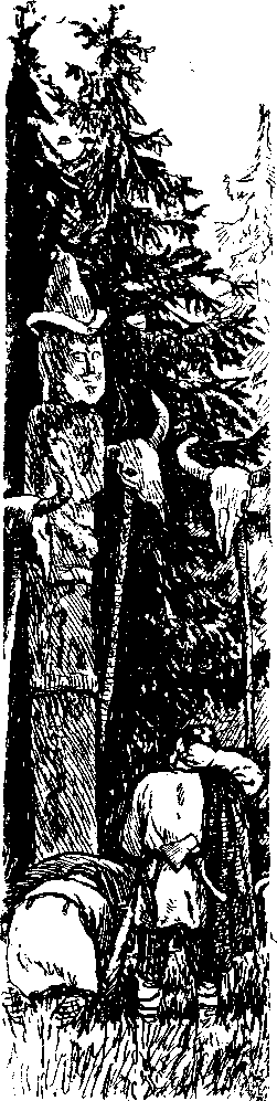 Покорители студеных морей (илл.) i_031.png
