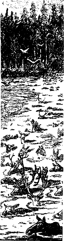 Покорители студеных морей (илл.) i_034.png