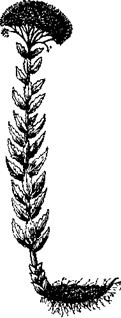 33 Рецепта для мужчин pic_15.png
